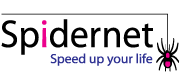 Spider net logo